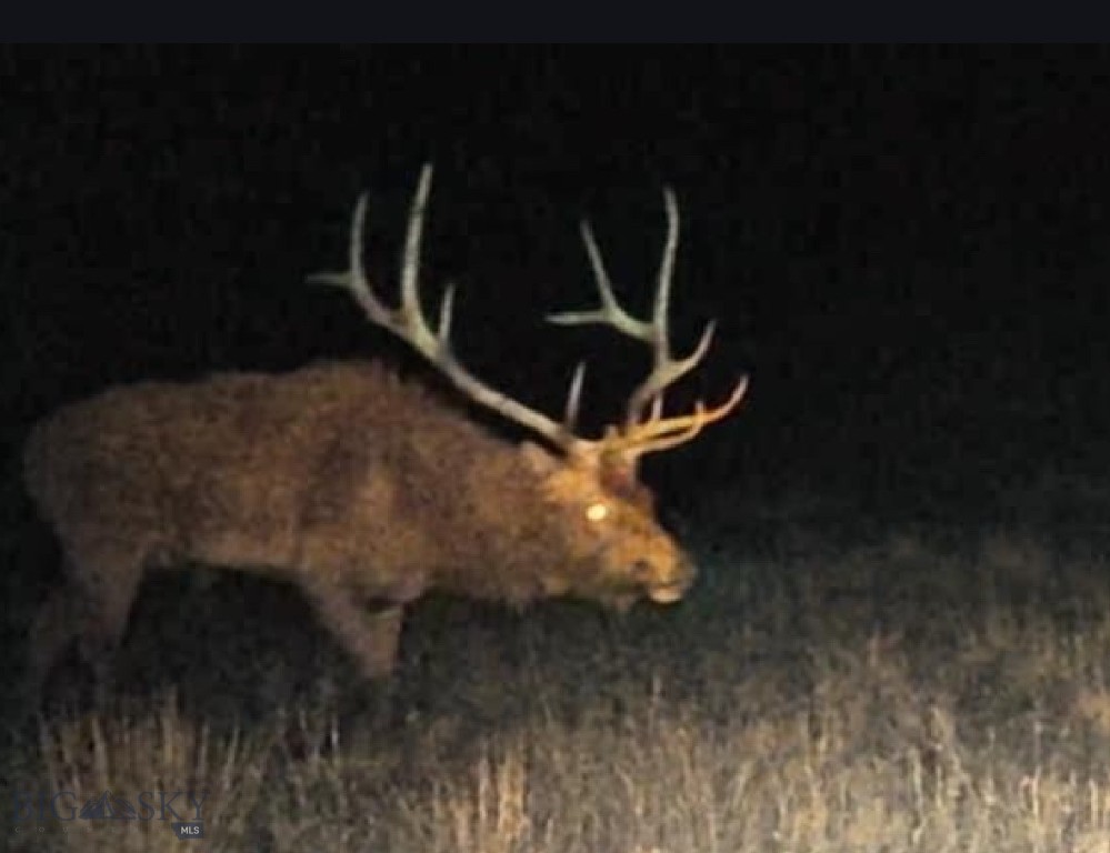 2168 Trophy Ridge