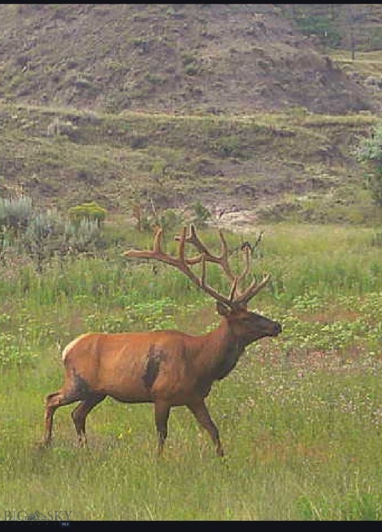 2168 Trophy Ridge
