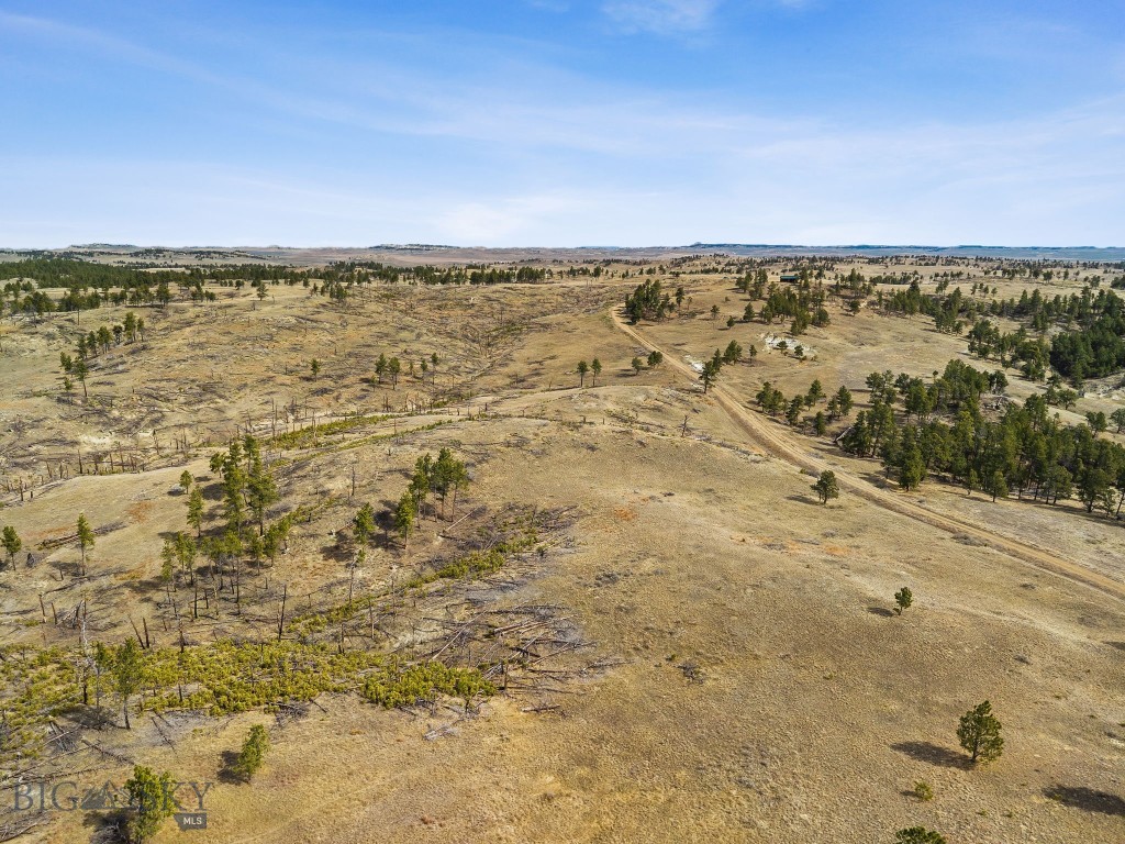 2168 Trophy Ridge