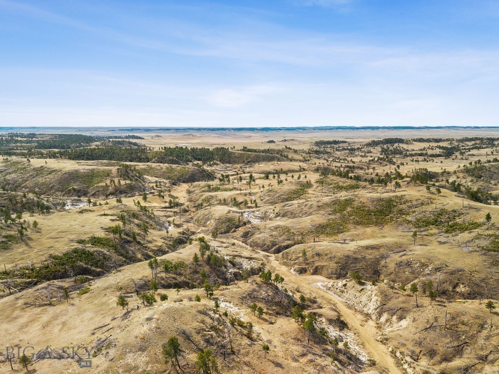2168 Trophy Ridge