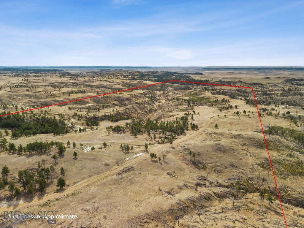 2168 Trophy Ridge