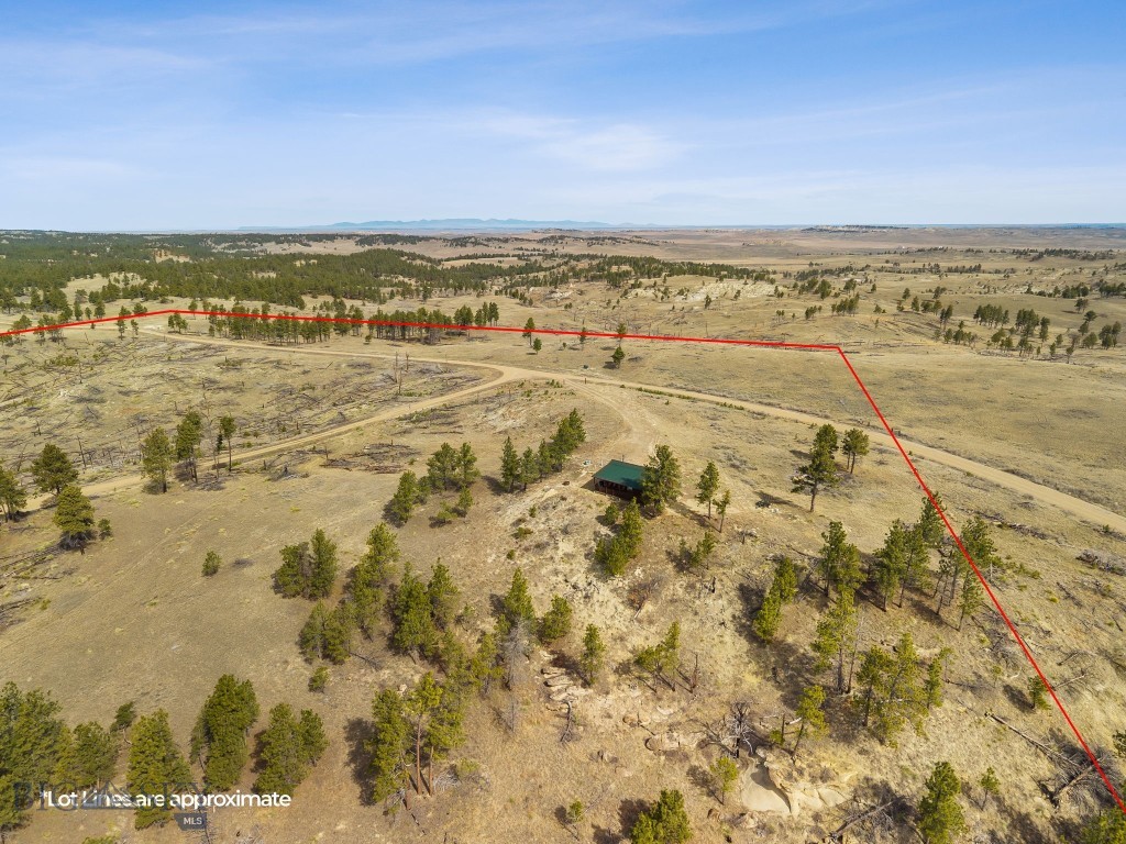 2168 Trophy Ridge