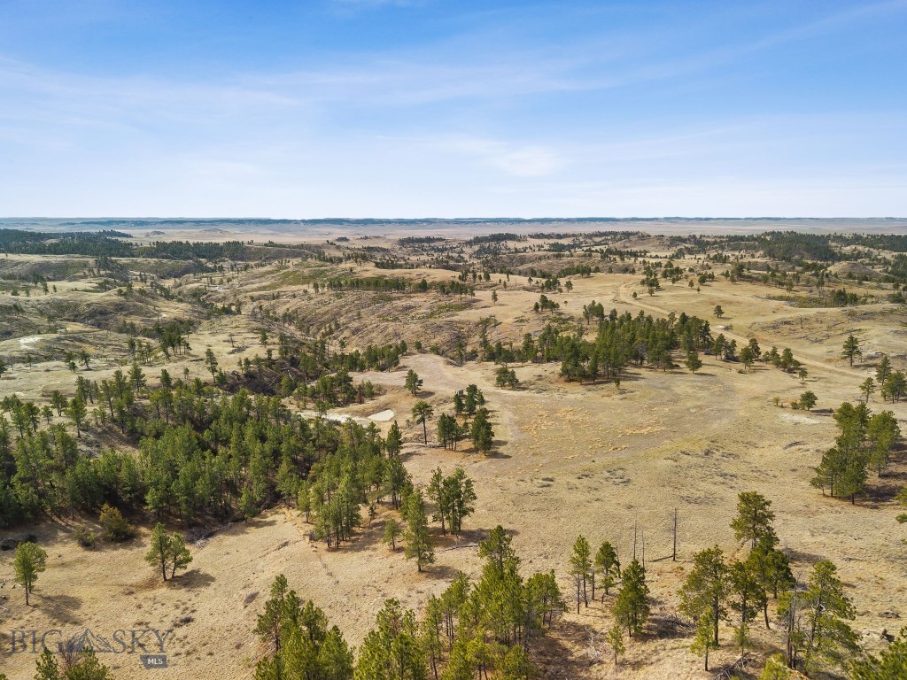 2168 Trophy Ridge