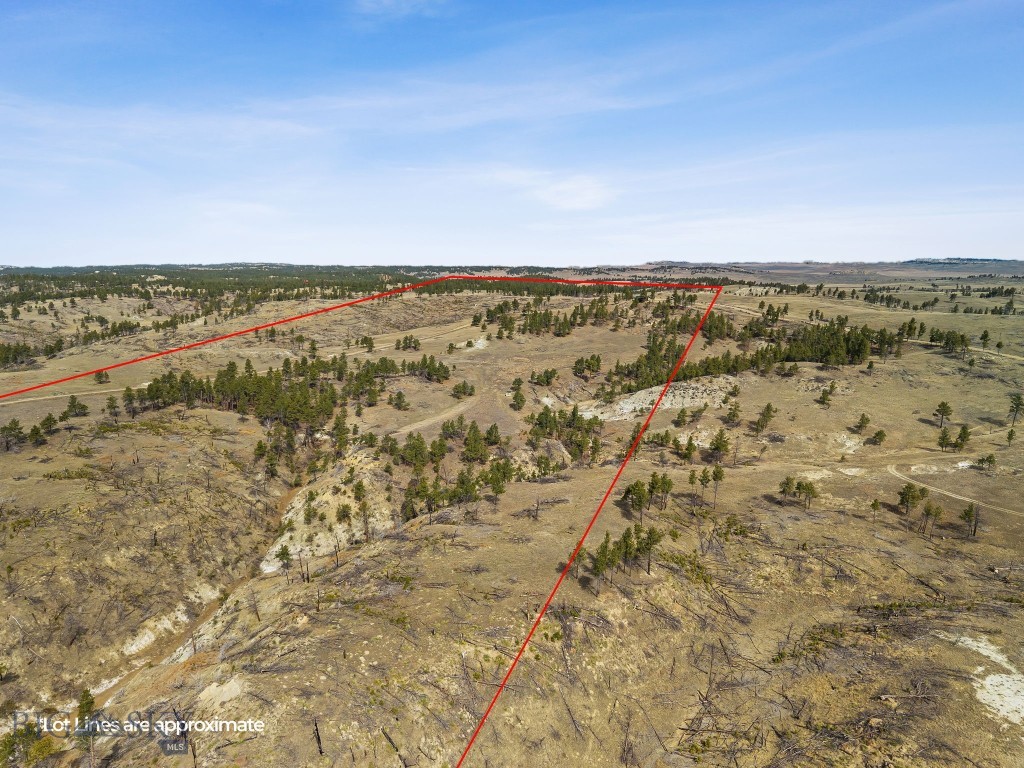 2168 Trophy Ridge