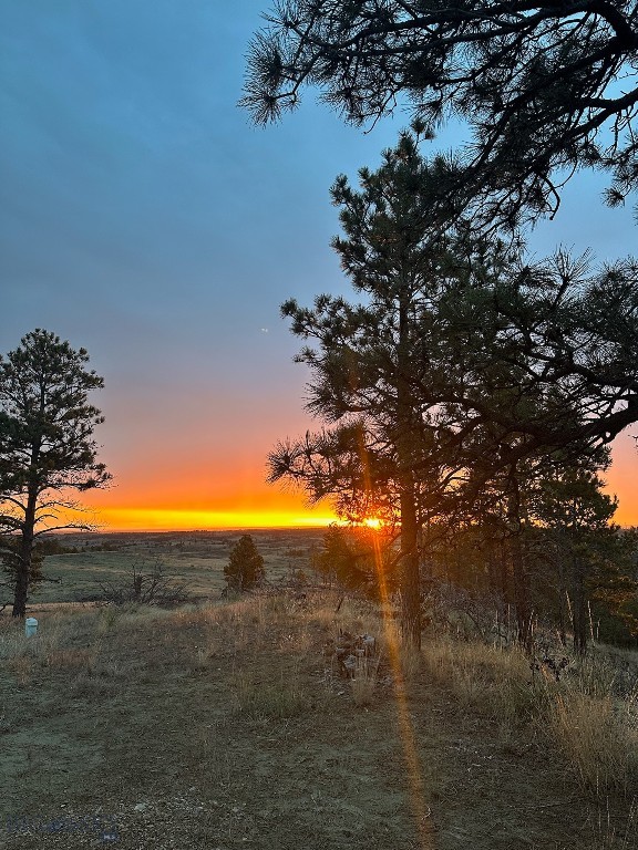 2168 Trophy Ridge