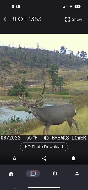 2168 Trophy Ridge