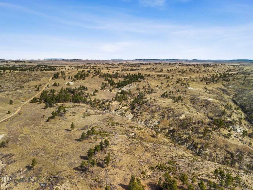 2168 Trophy Ridge