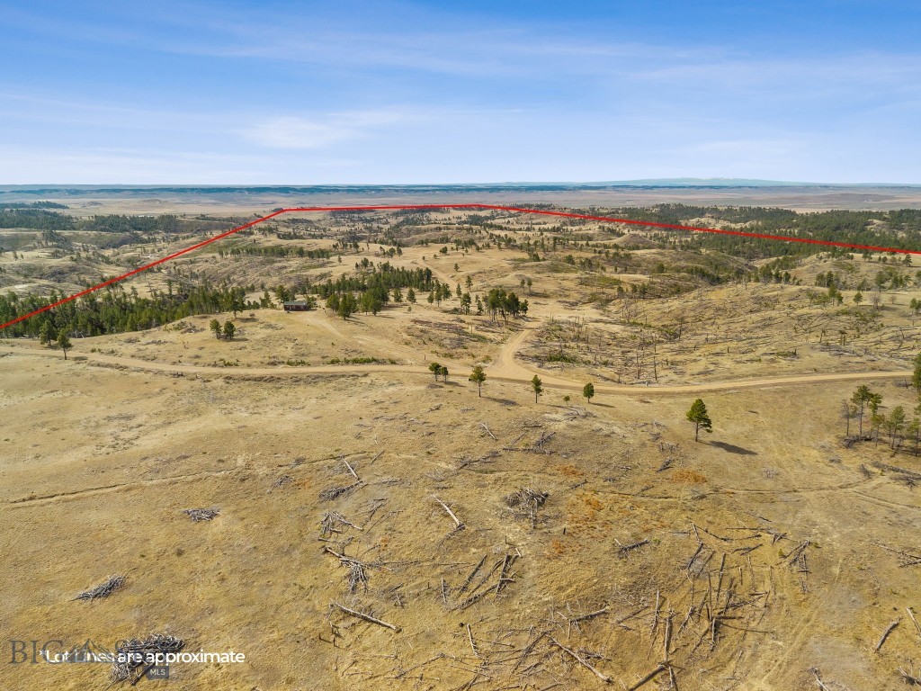 2168 Trophy Ridge
