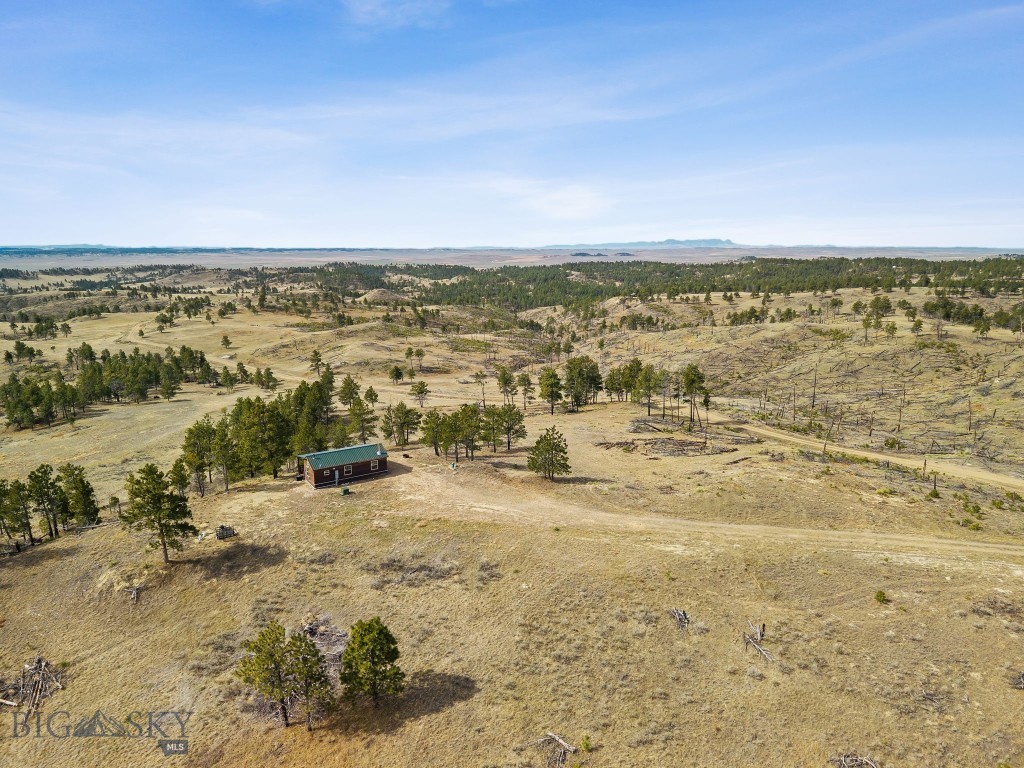 2168 Trophy Ridge