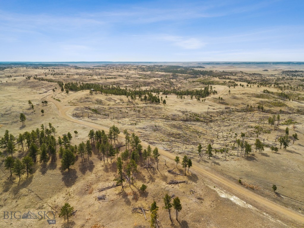 2168 Trophy Ridge