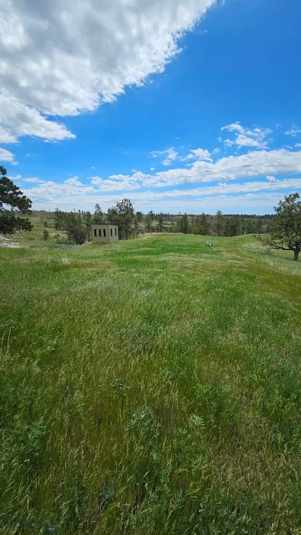 2168 Trophy Ridge