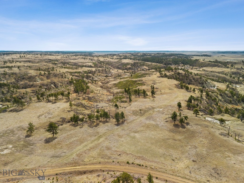 2168 Trophy Ridge