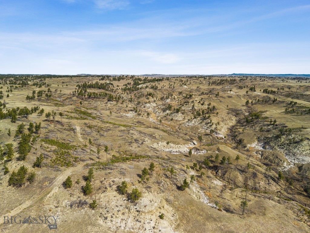 2168 Trophy Ridge