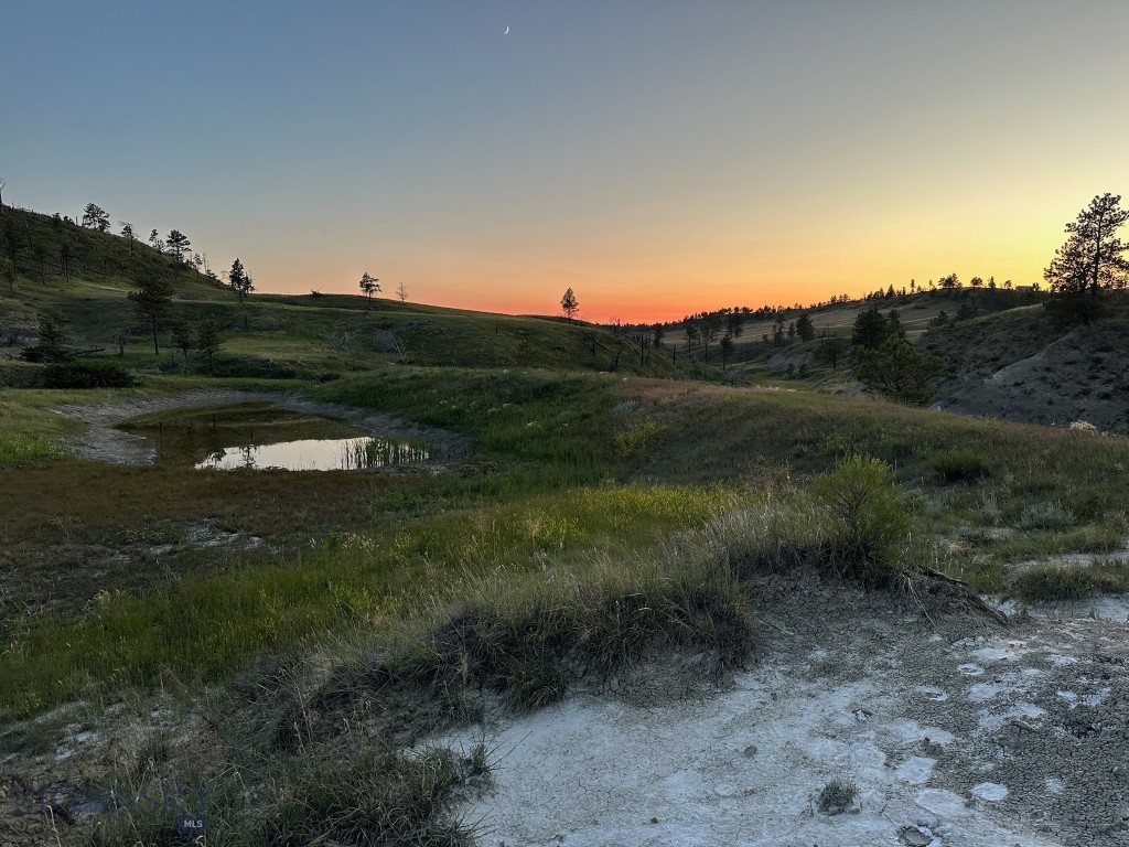 2168 Trophy Ridge