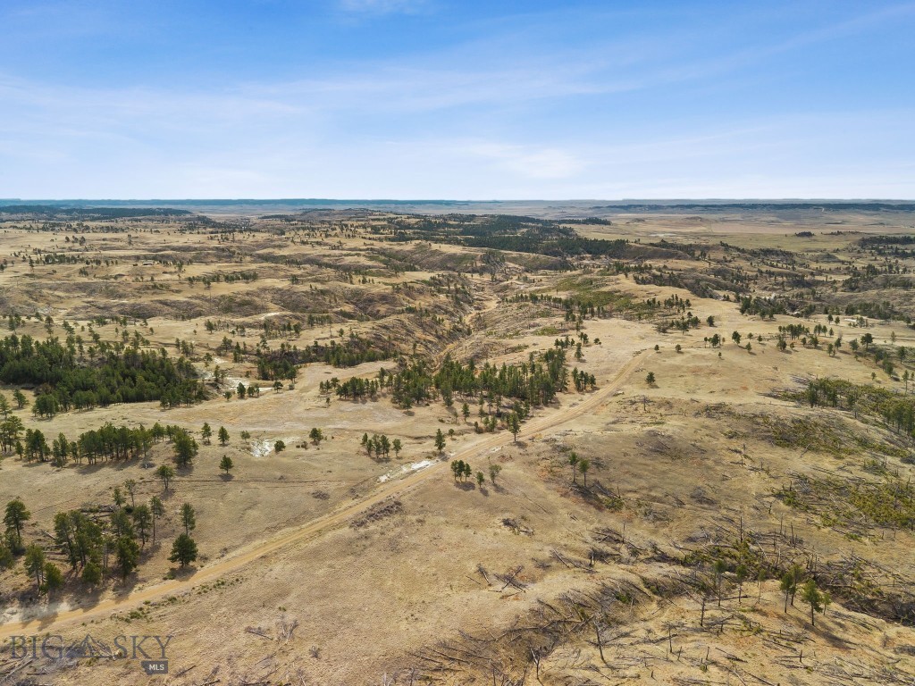 2168 Trophy Ridge