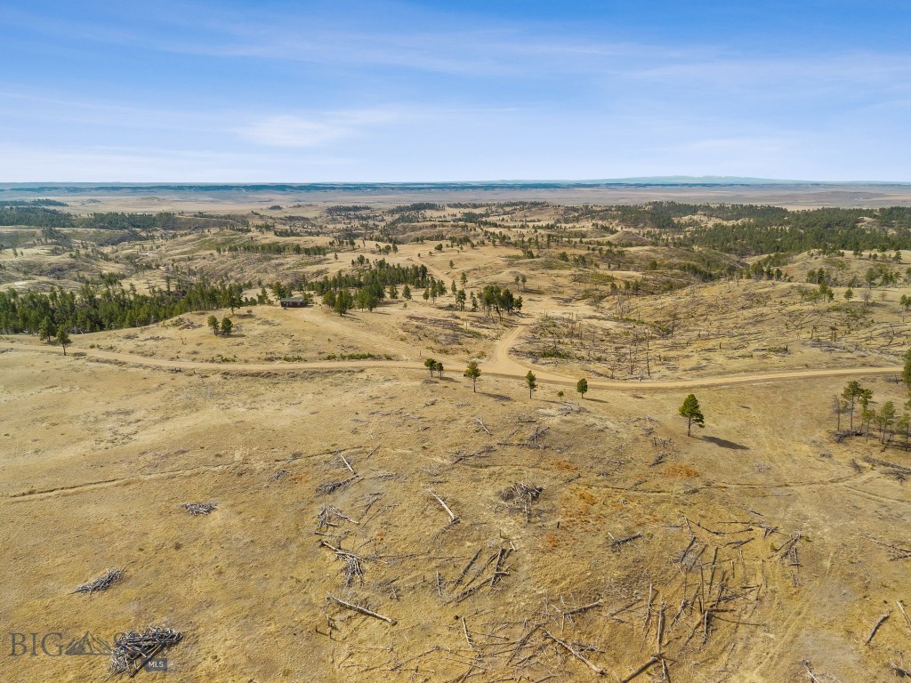 2168 Trophy Ridge