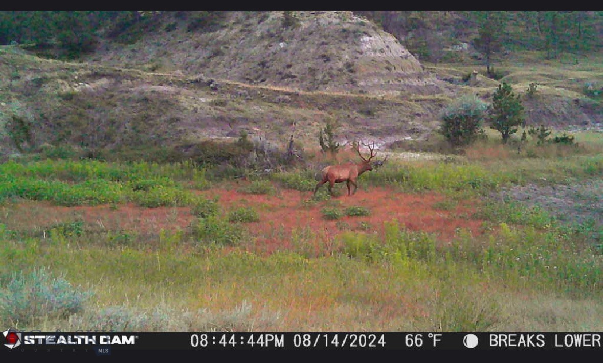 2168 Trophy Ridge