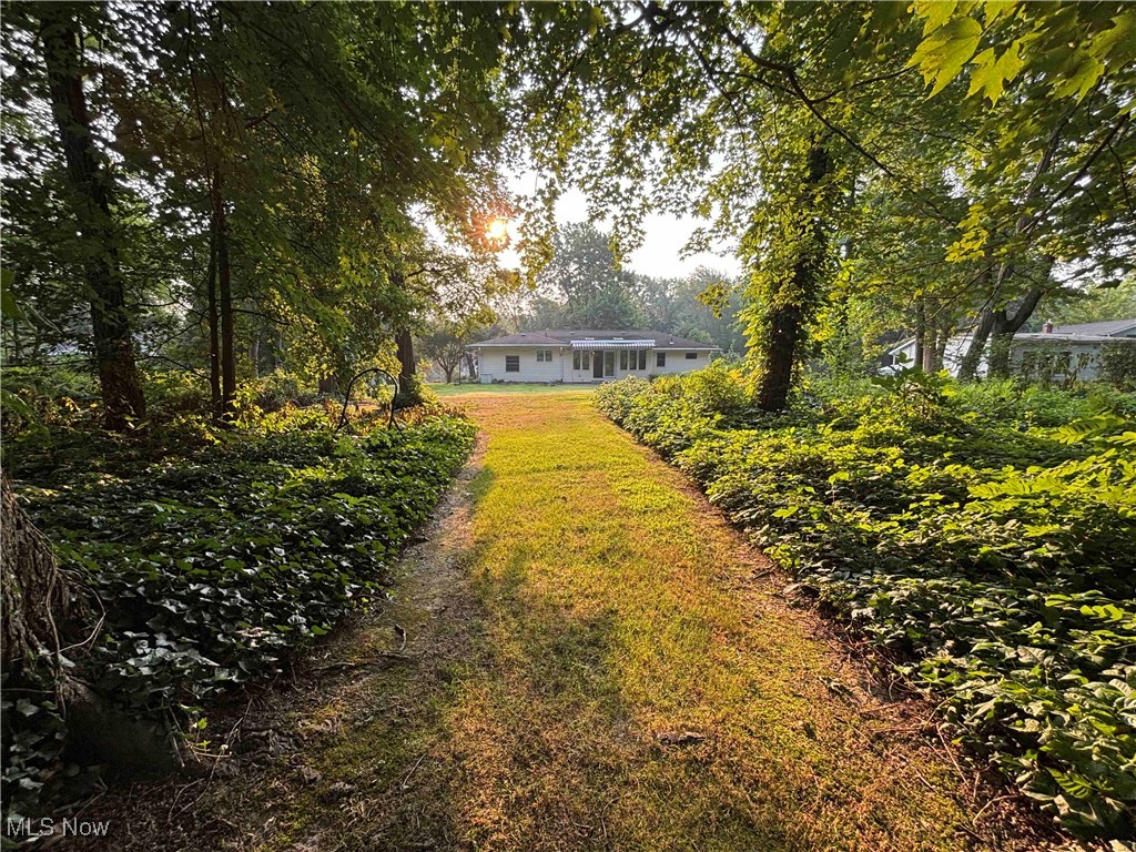 8166 Timberlane Drive