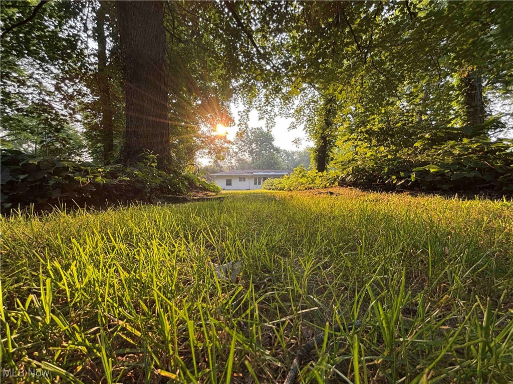 8166 Timberlane Drive