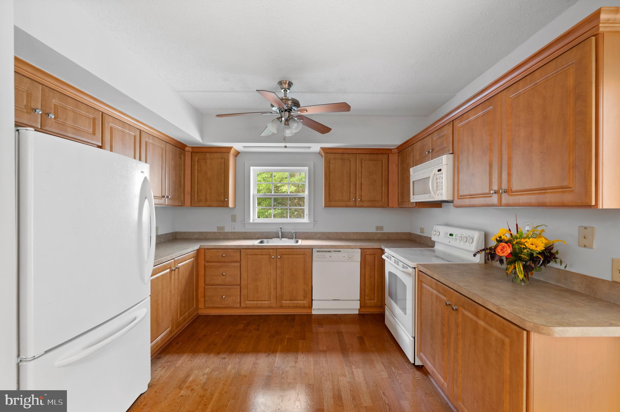 244 BALTIMORE PIKE 101