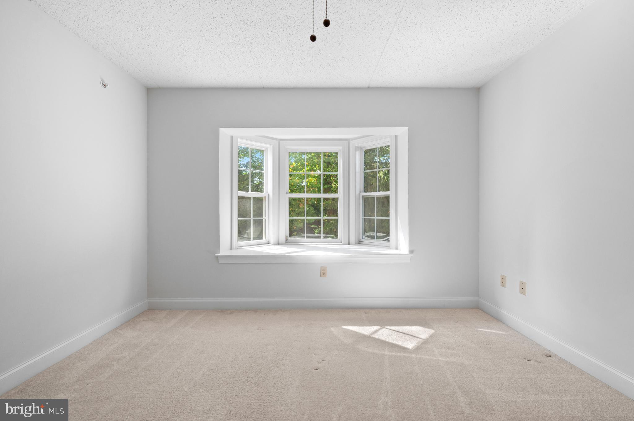 244 BALTIMORE PIKE 101