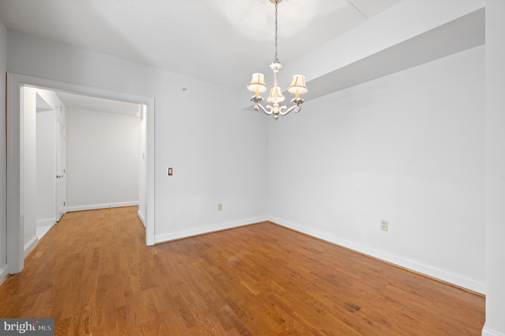 244 BALTIMORE PIKE 101