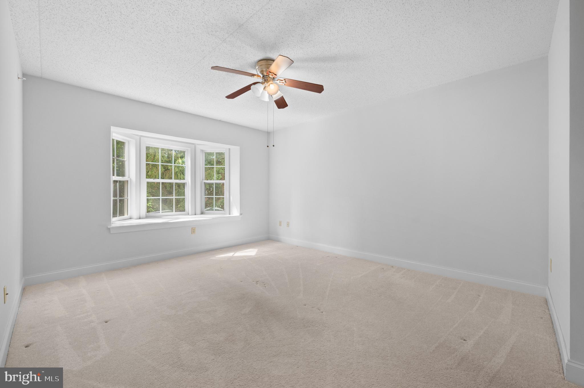 244 BALTIMORE PIKE 101