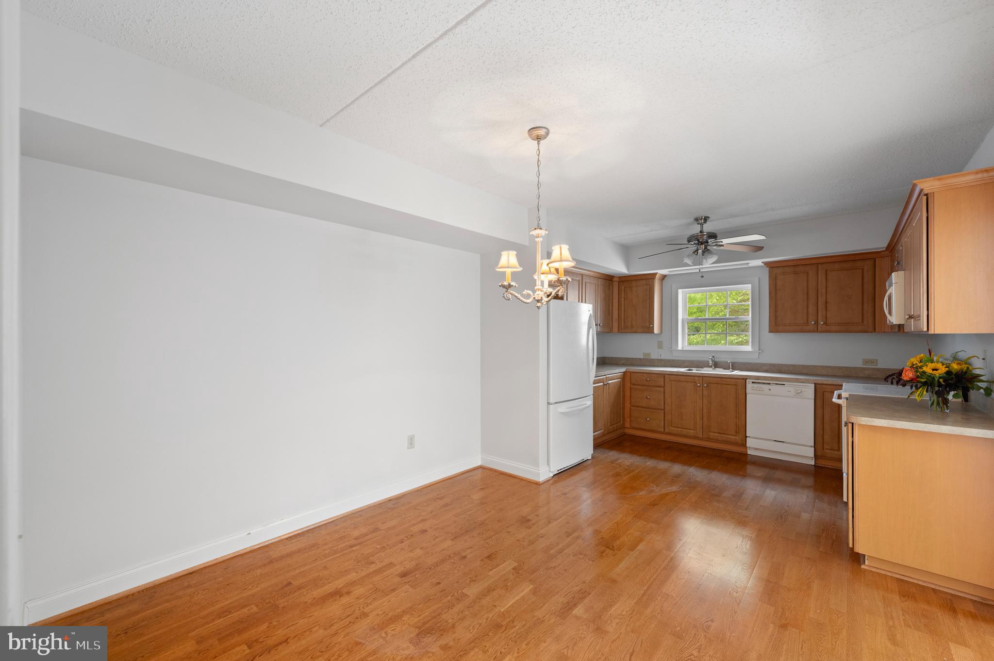 244 BALTIMORE PIKE 101