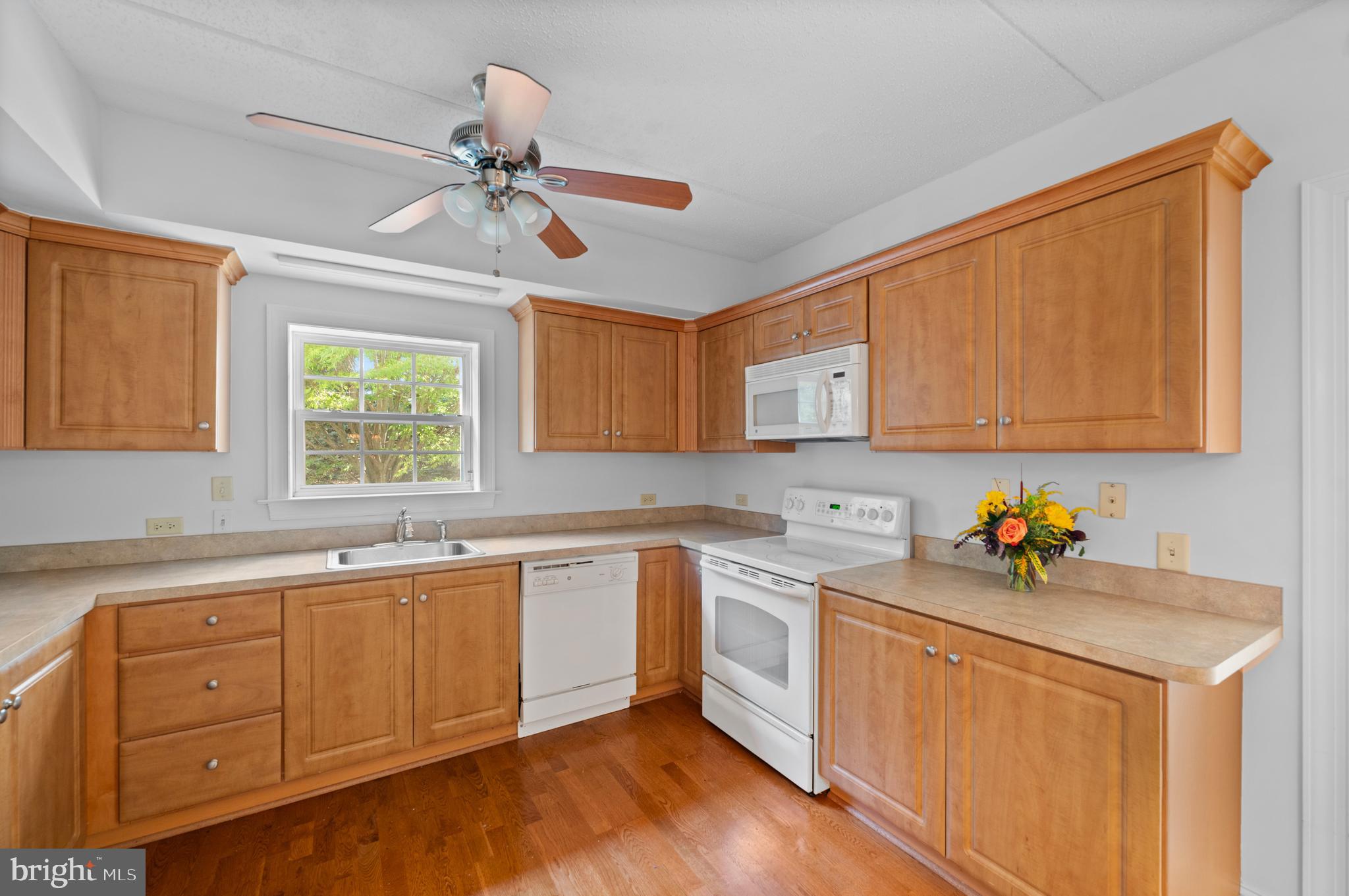 244 BALTIMORE PIKE 101