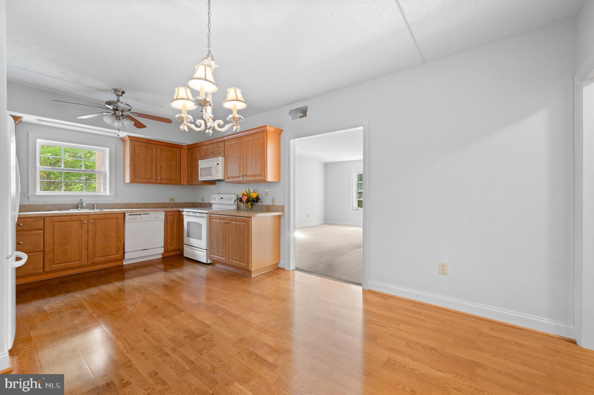 244 BALTIMORE PIKE 101