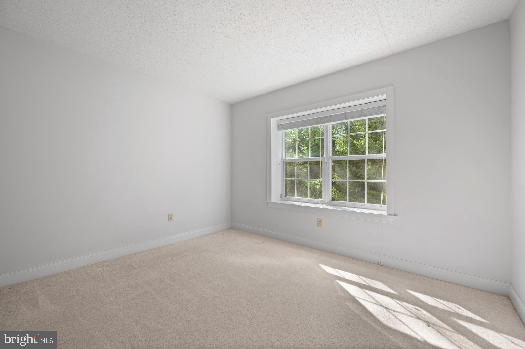 244 BALTIMORE PIKE 101