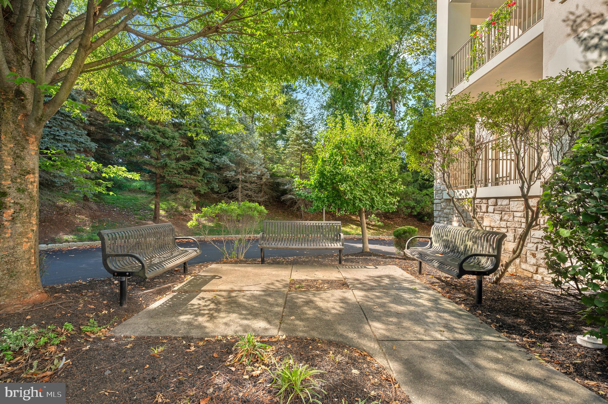 244 BALTIMORE PIKE 101