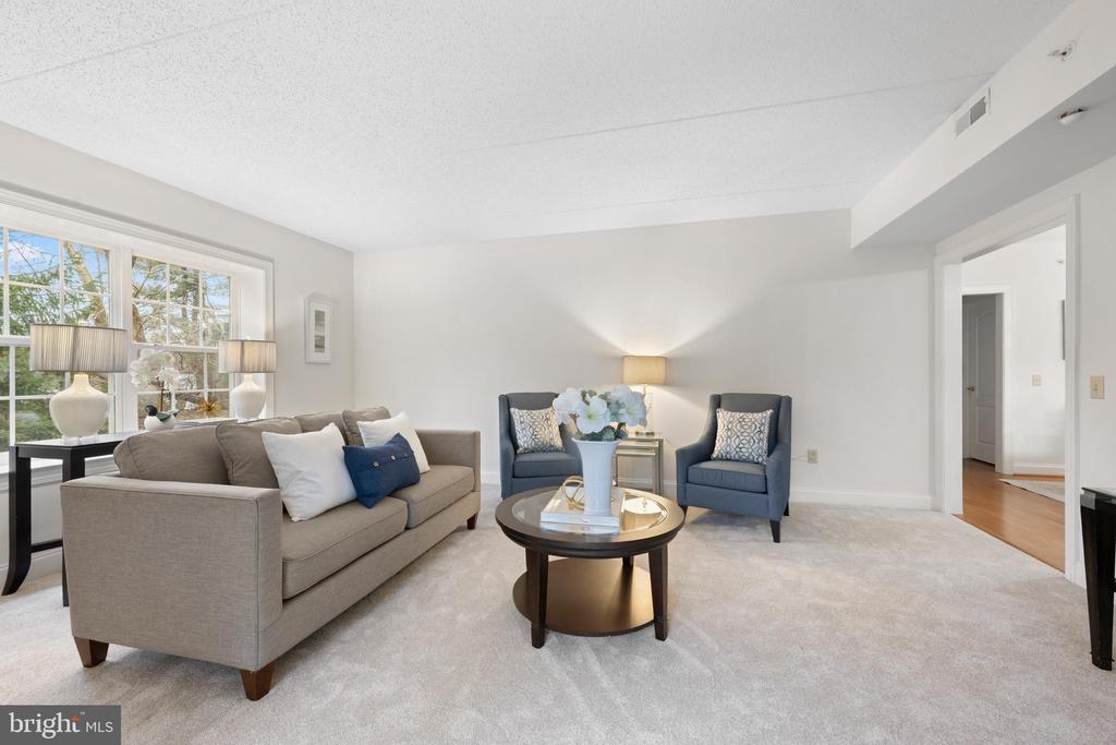 244 BALTIMORE PIKE 101B