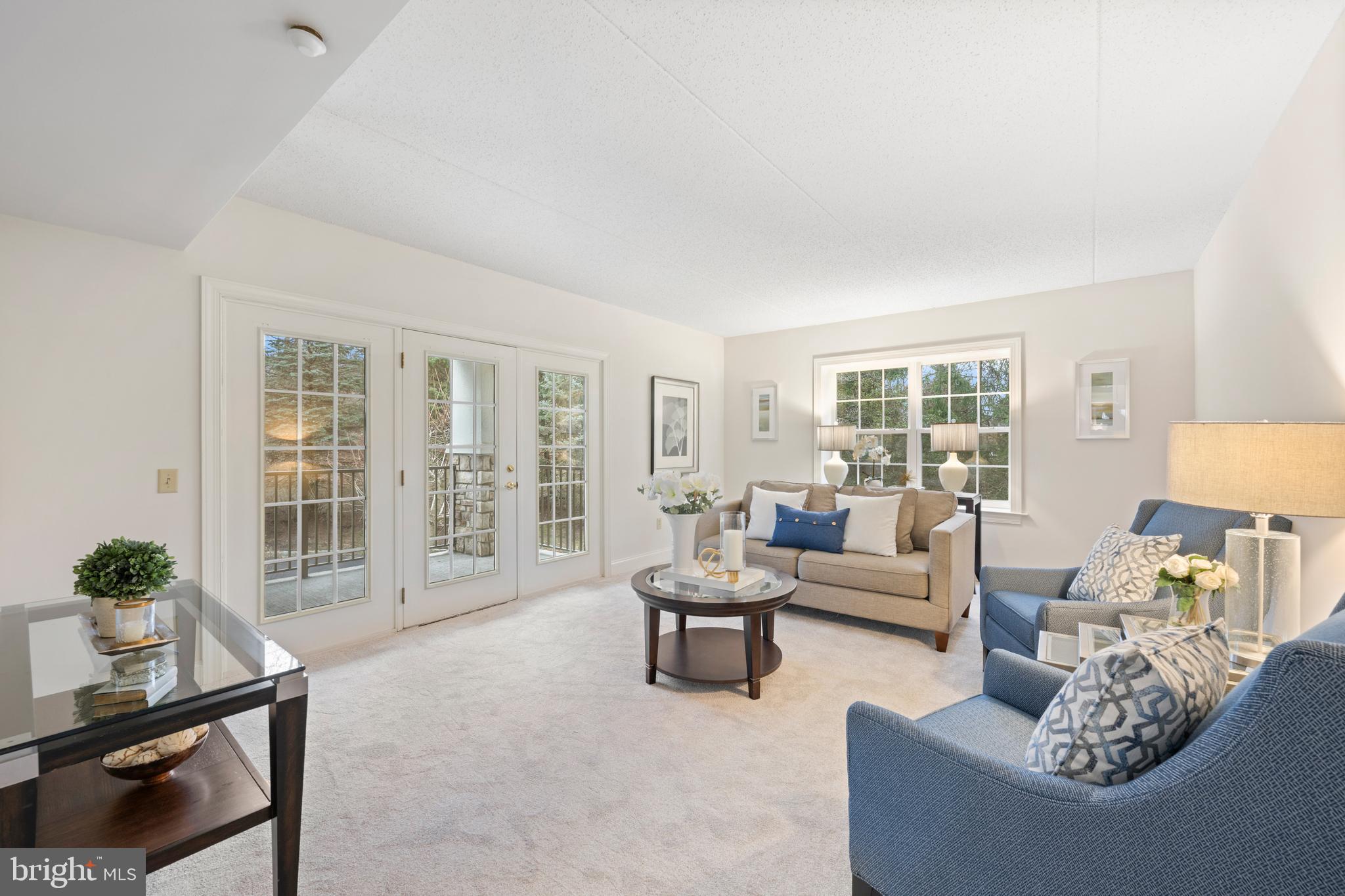 244 BALTIMORE PIKE 101B