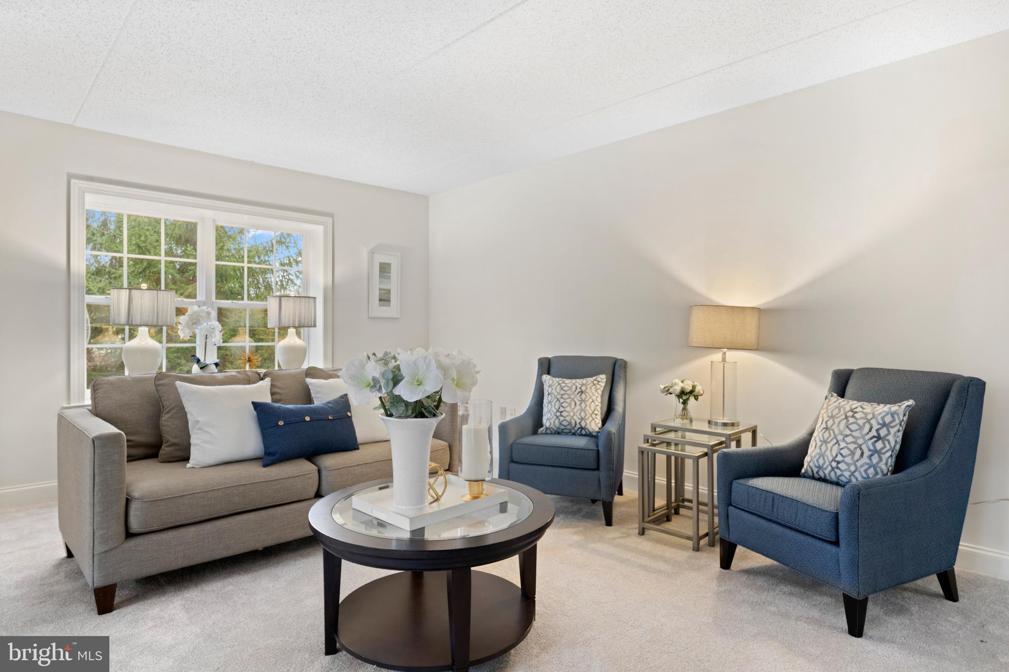 244 BALTIMORE PIKE 101B