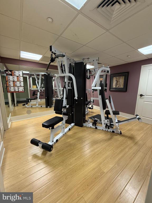 244 BALTIMORE PIKE 101B