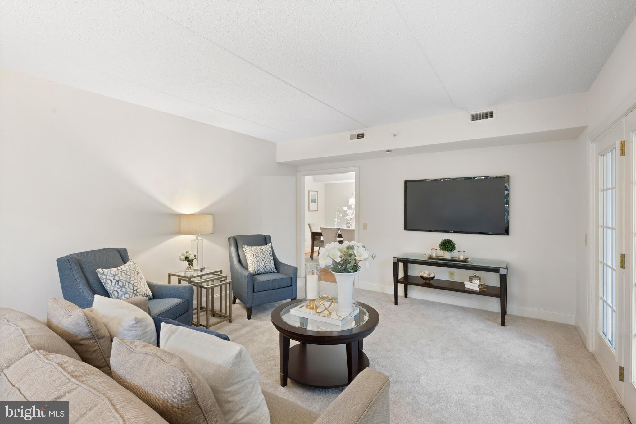 244 BALTIMORE PIKE 101B