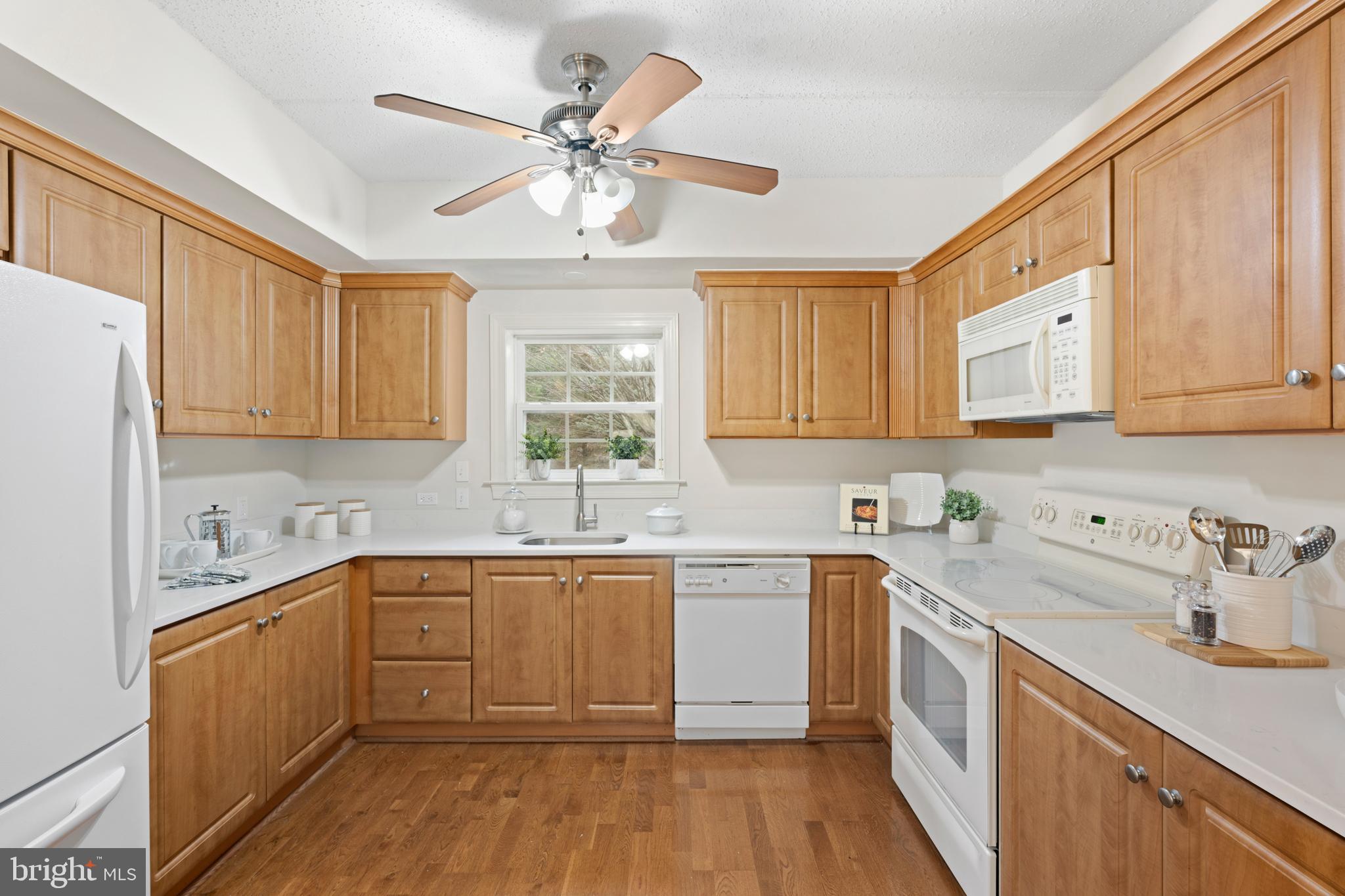 244 BALTIMORE PIKE 101B