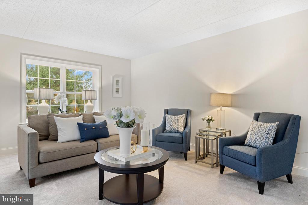 244 BALTIMORE PIKE 101B