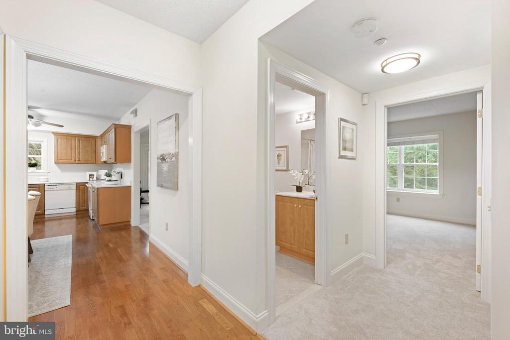 244 BALTIMORE PIKE 101B