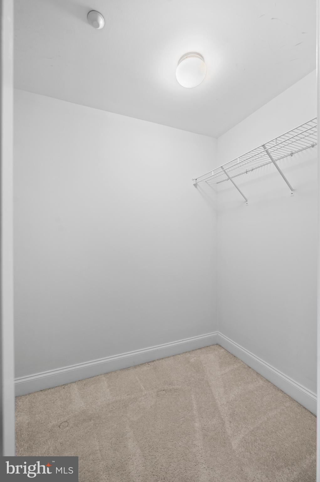 244 BALTIMORE PIKE 101B