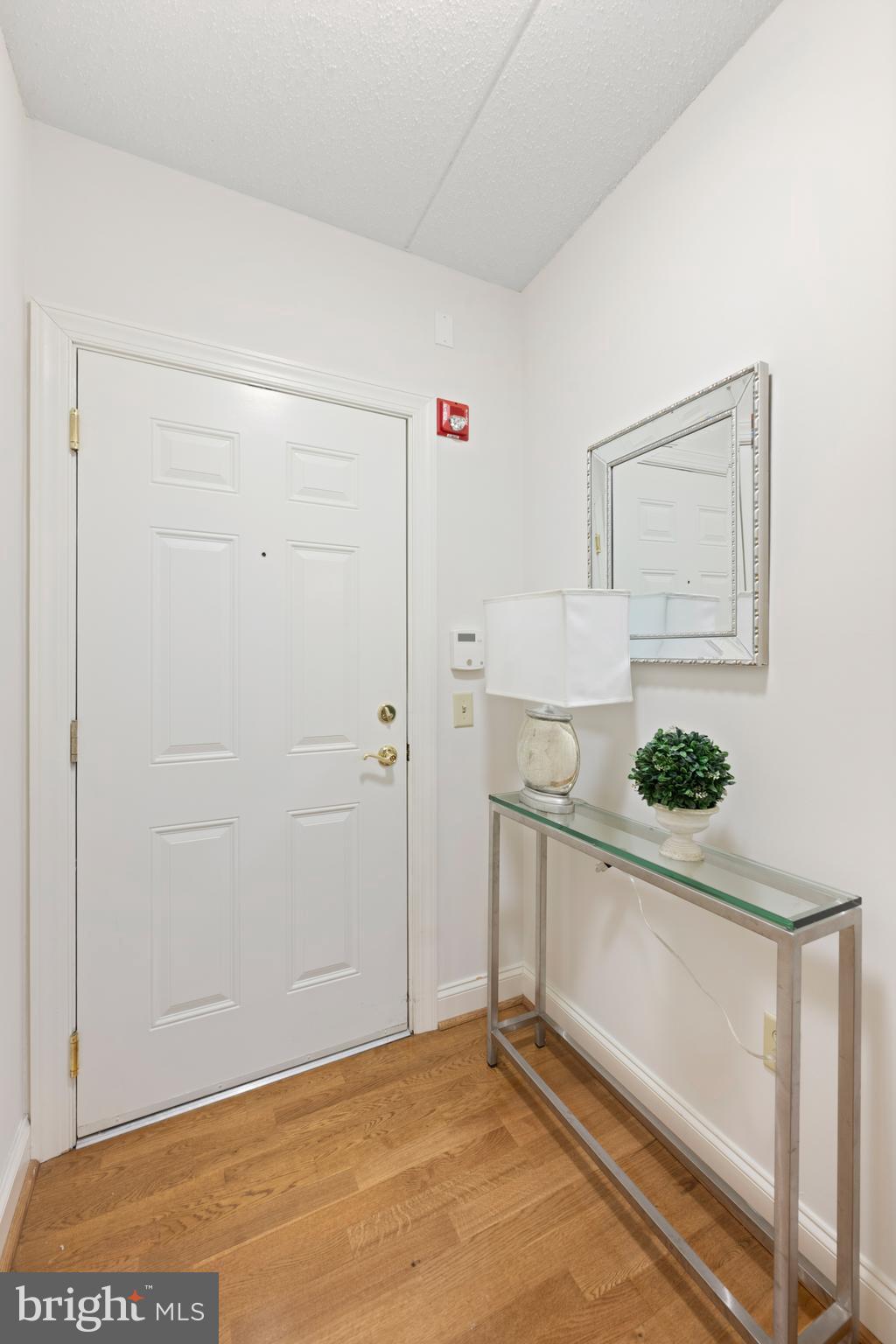 244 BALTIMORE PIKE 101B