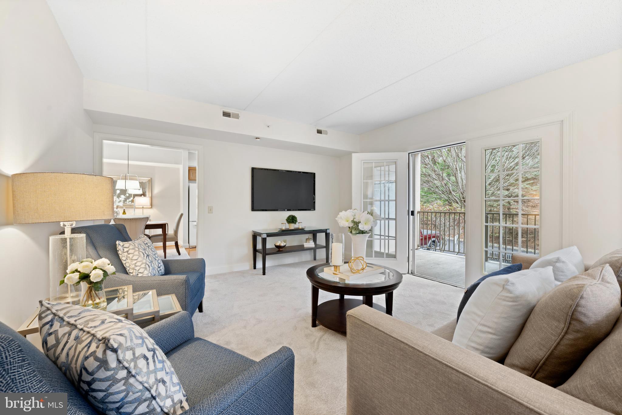 244 BALTIMORE PIKE 101B