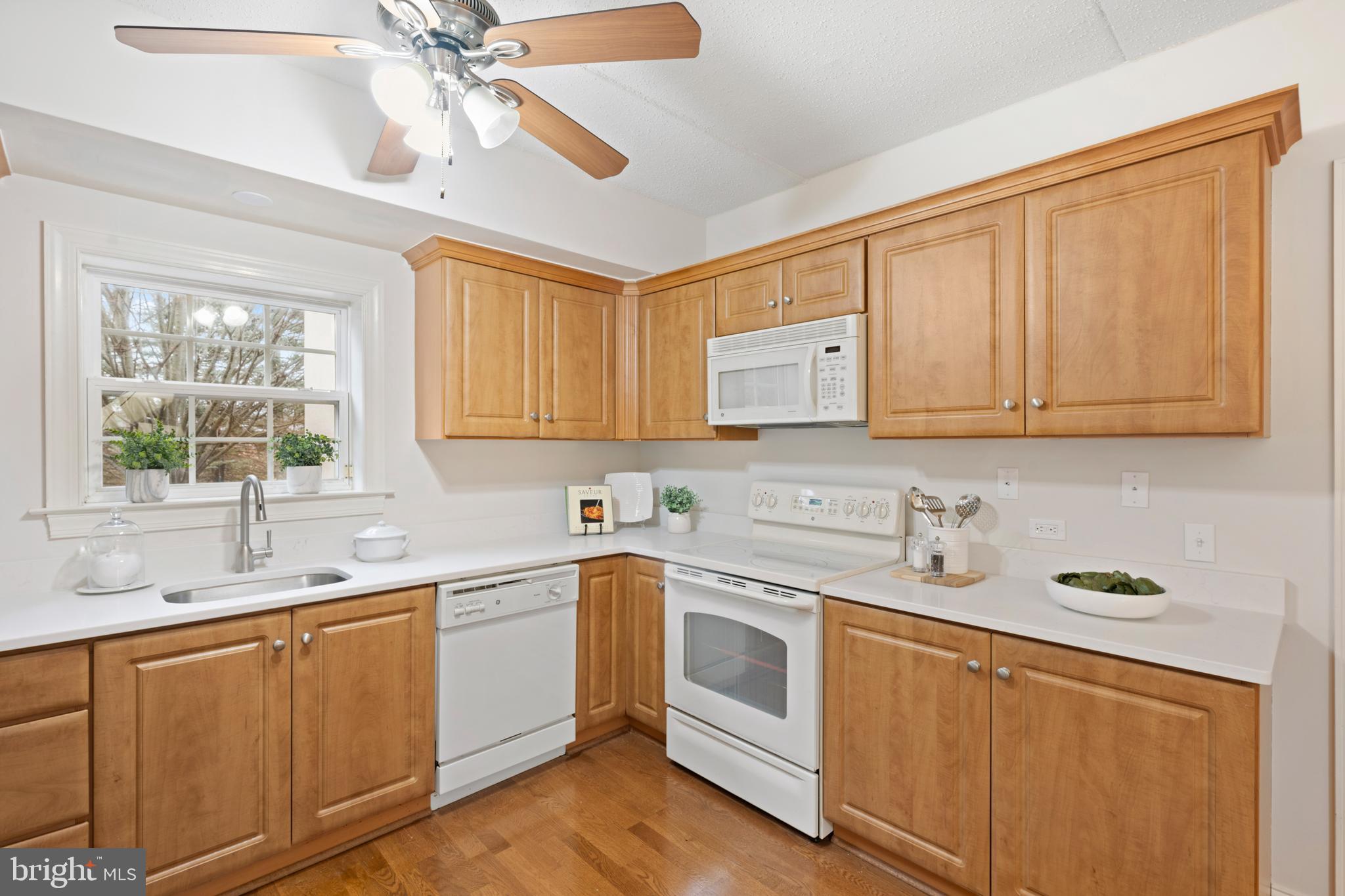 244 BALTIMORE PIKE 101B