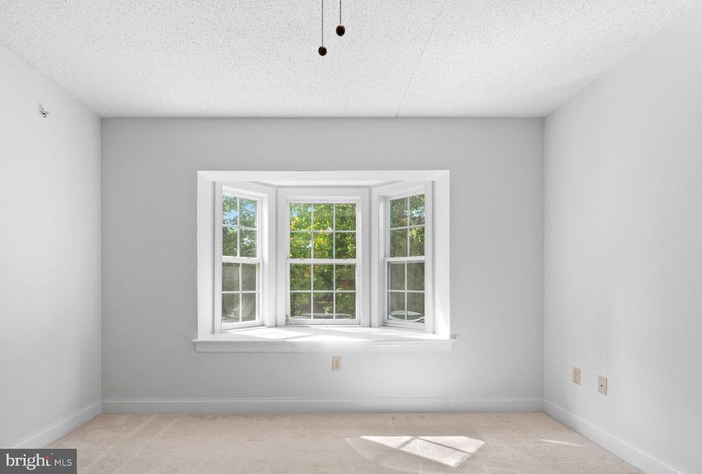 244 BALTIMORE PIKE 101B