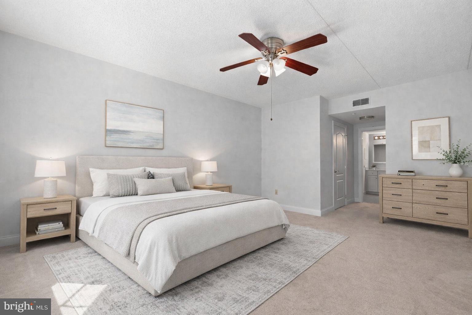 244 BALTIMORE PIKE 101B