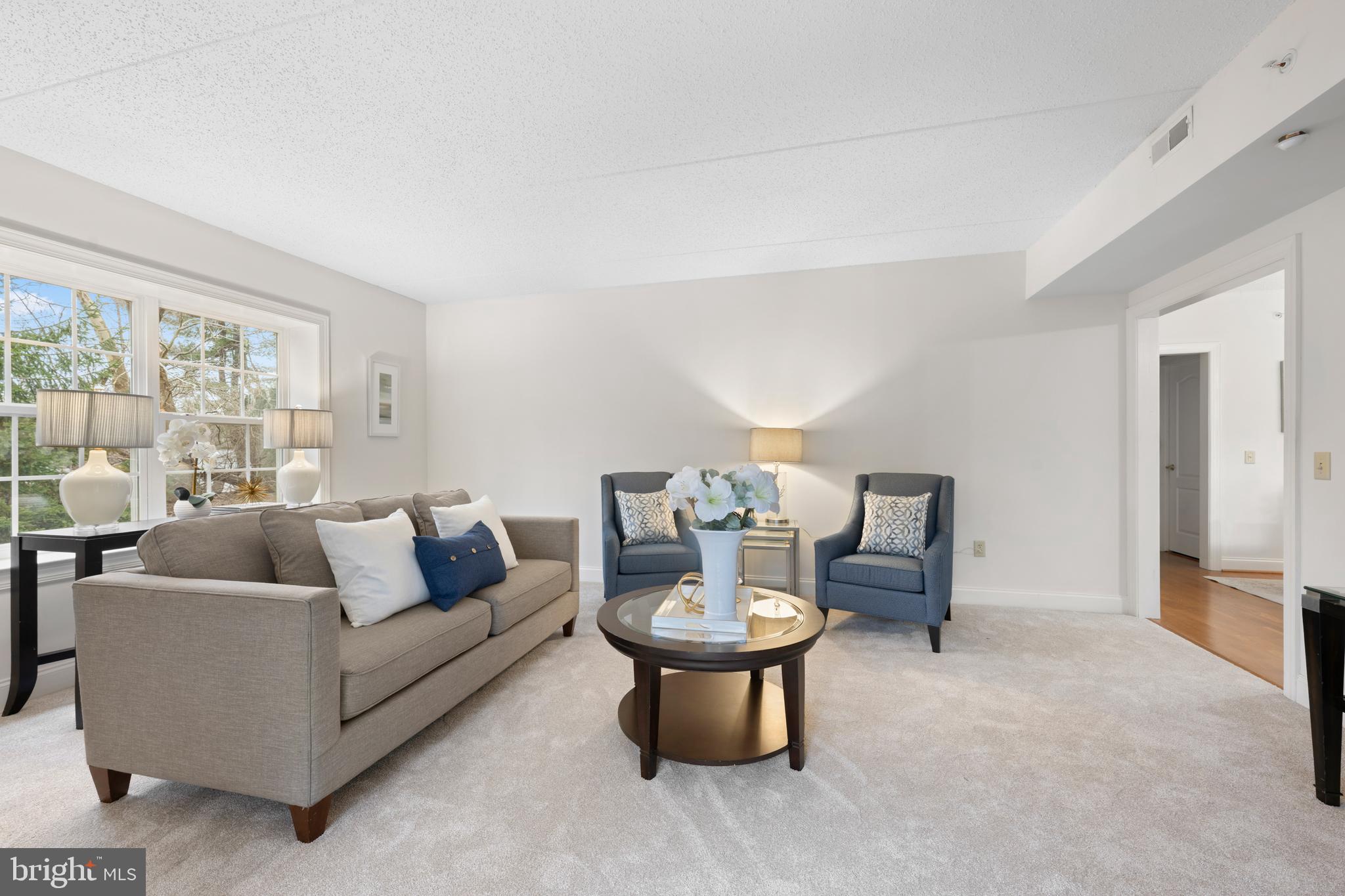 244 BALTIMORE PIKE 101B