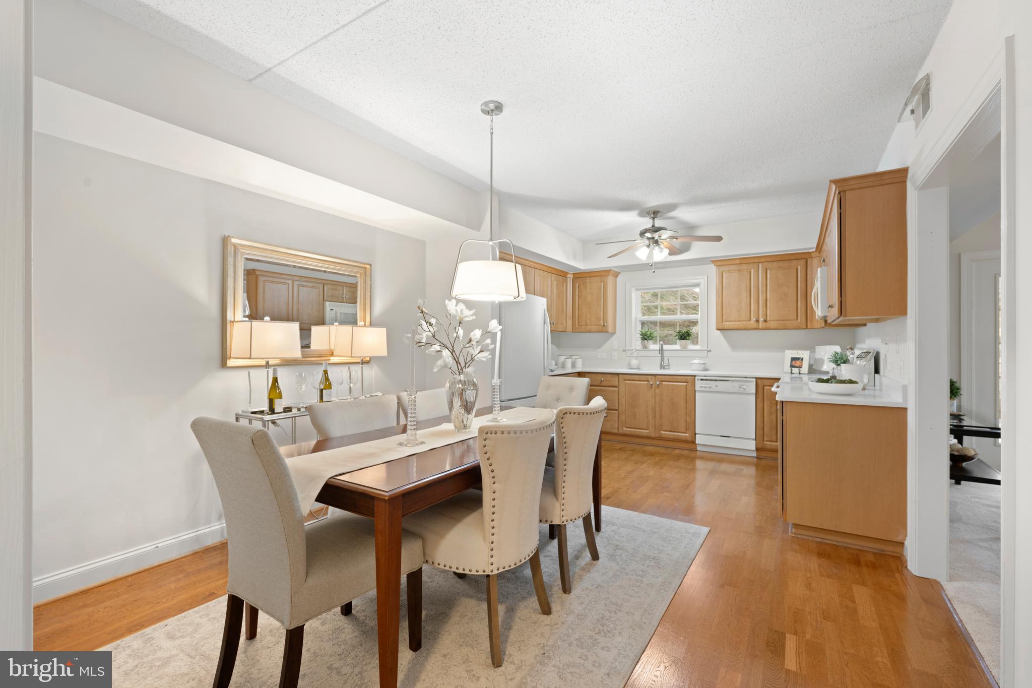 244 BALTIMORE PIKE 101B