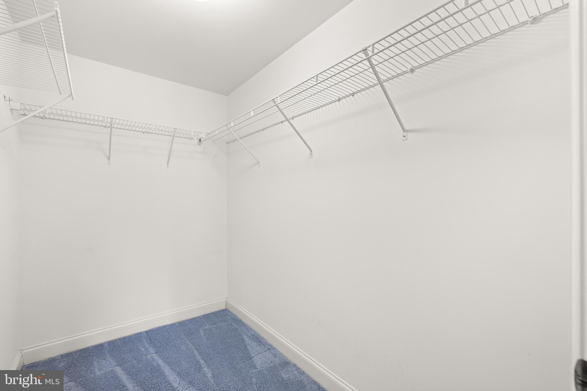 244 BALTIMORE PIKE 131A