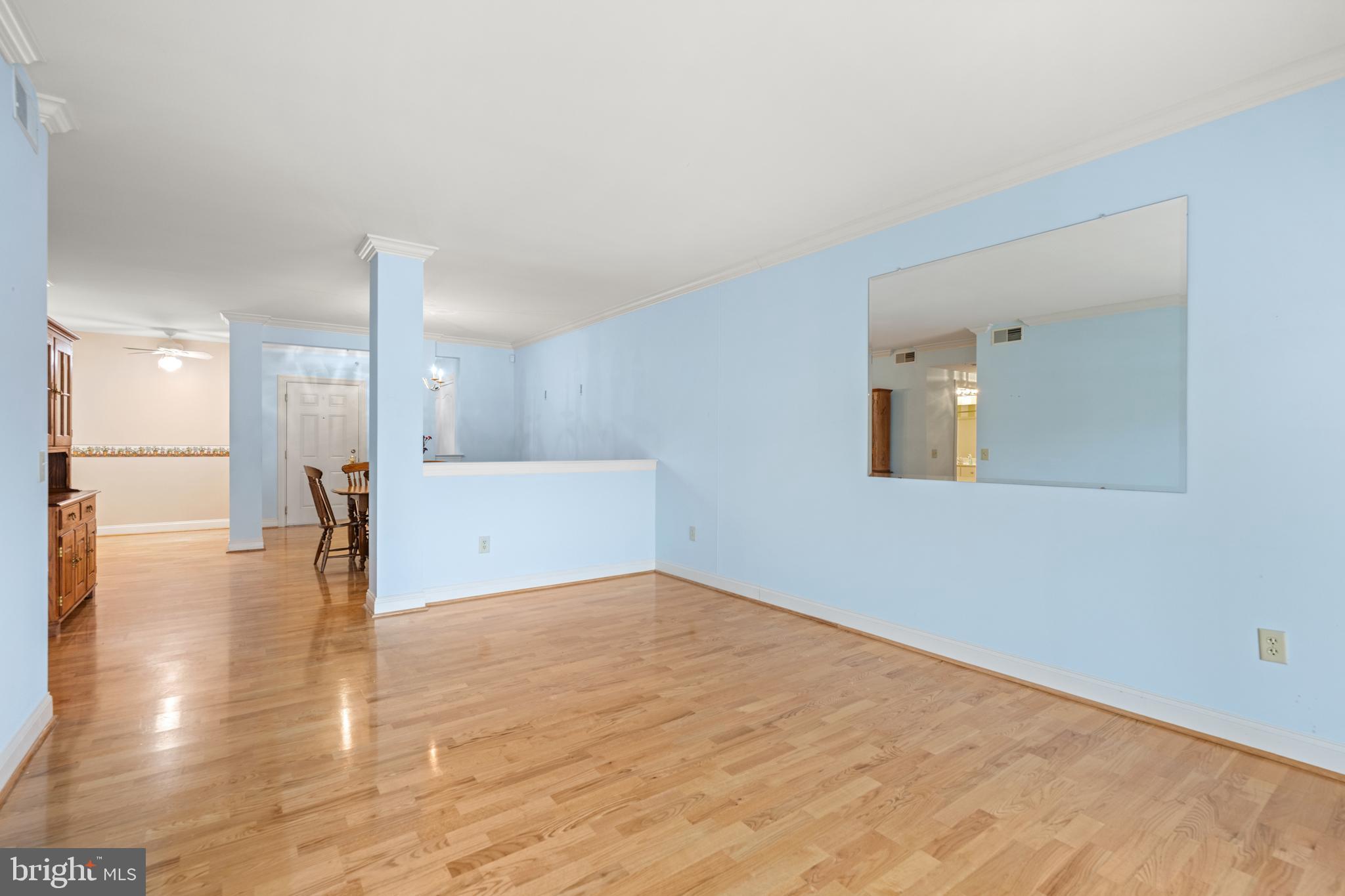 244 BALTIMORE PIKE 131A